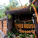 Khao Sok Tree House